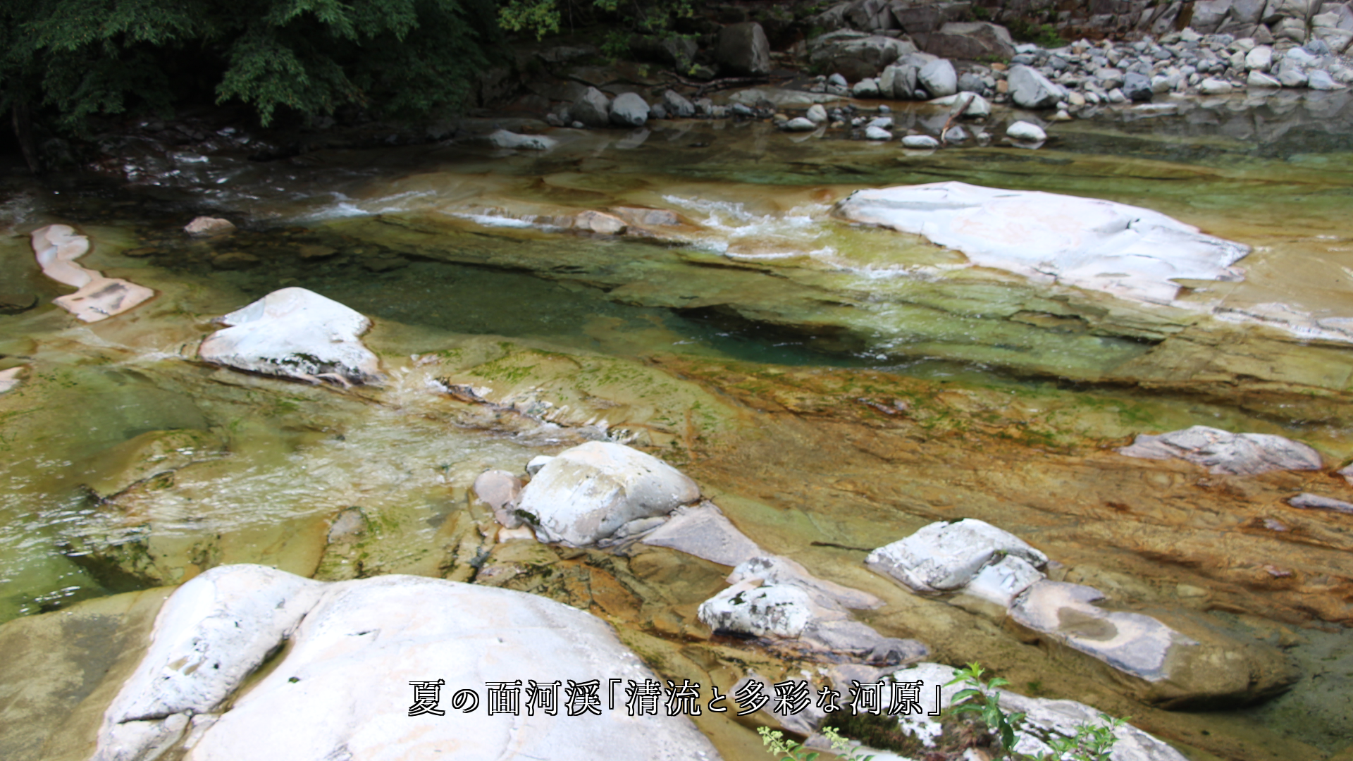 せせらぎ(瀬音)は澱んでいた気持ちを 流し清めて 岩や草も鮮やかにする