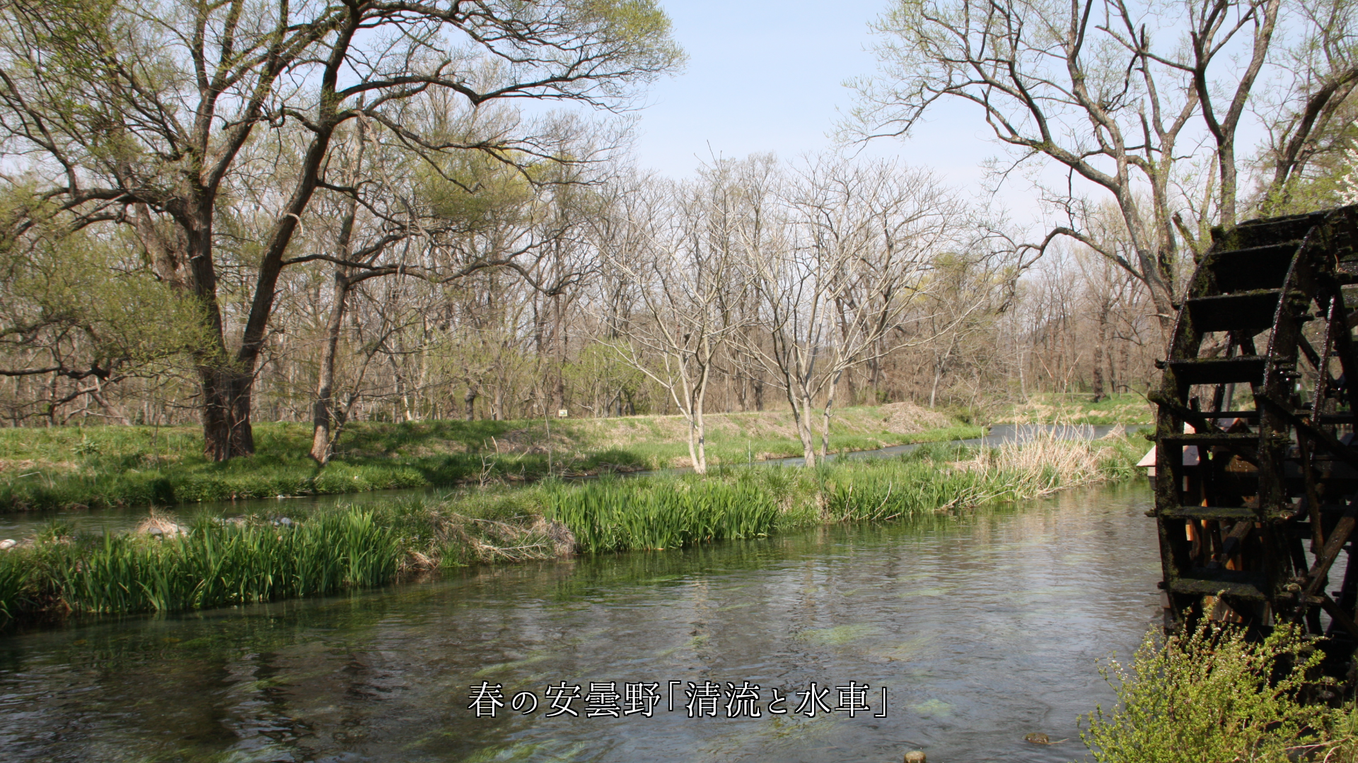 せせらぎ(瀬音)は澱んでいた気持ちを 流し清めて 岩や草も鮮やかにする
