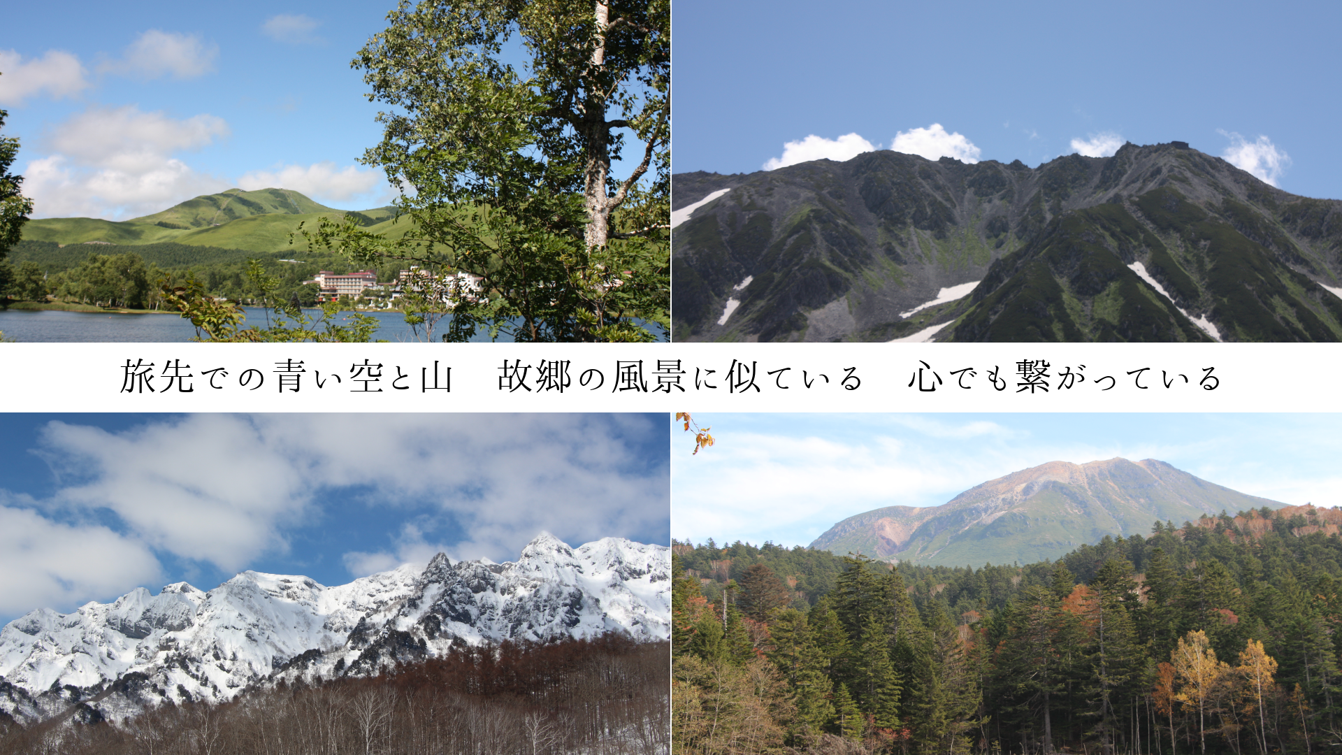 ιǤĤȻζʤ˻Ƥ롡ǤҤäƤ