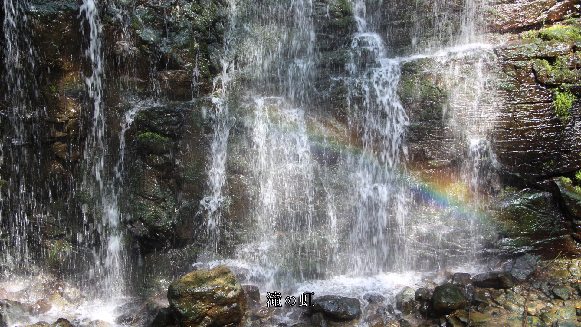 滝は自然と共に　煙を挙げ　 氷結の芸術を創り、草木を濡らし  虹も彩る
