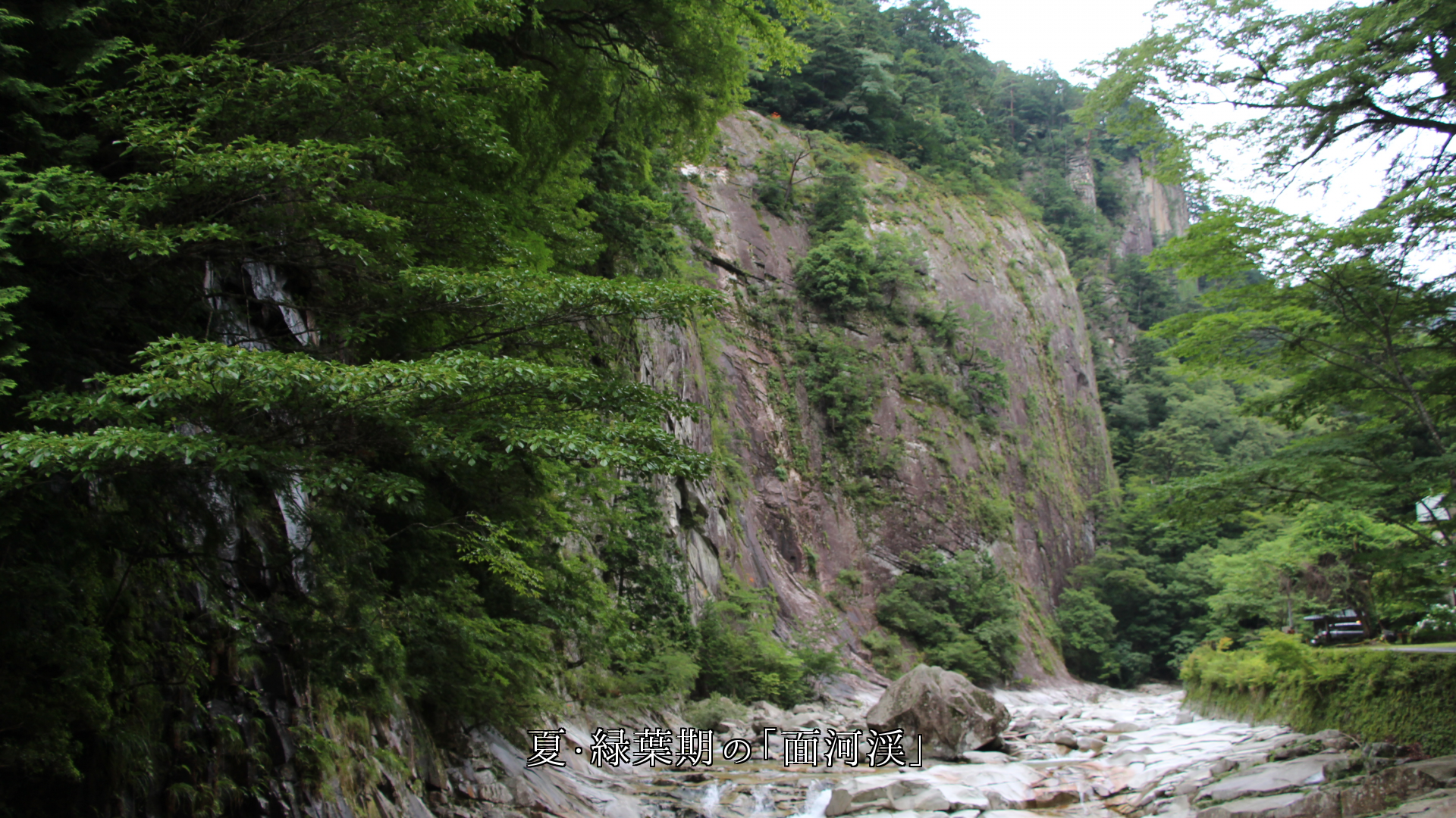 深緑　紅葉　積雪　新緑期での各地の渓谷　空と岩壁も支えている