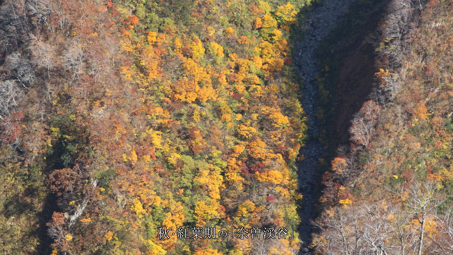 深緑　紅葉　積雪　新緑期での各地の渓谷　空と岩壁も支えている