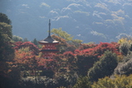 京都・清水寺「本堂舞台」から見た秋景色