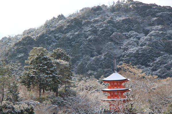 京都・清水寺「積雪の森と奥の院」
