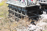 春の清水寺「懸造り本堂舞台」