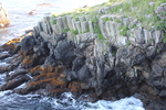 根室花咲・車石「柱状節理の海岸」